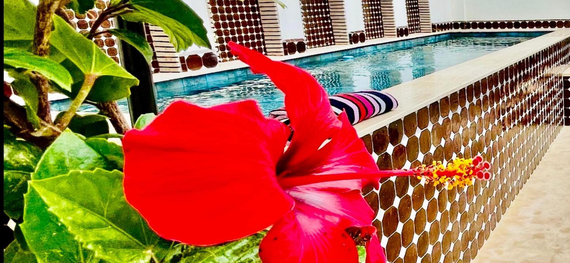Dar Najat Hotel Marrakesh Ngoại thất bức ảnh